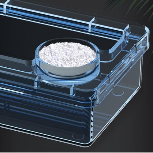 LEBETE Transparents Reptiles Feeder Bowl Escape Reptiles Food Container for Lizards Turtles and Small Pet Easy to Clean - color: Blue, size: 9.5x7x3.5cm
