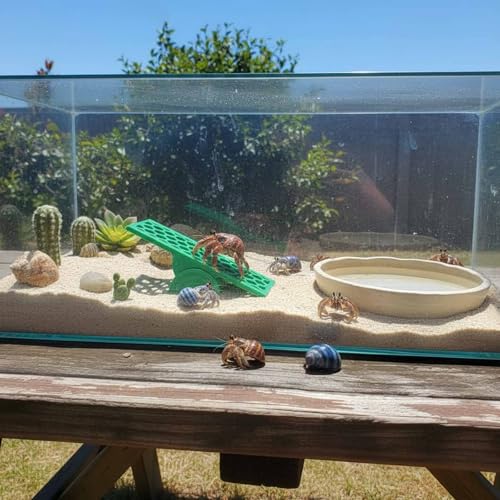 Hermit Crab Seesaw Climbing Toy, Hermit Crab Tank Decoration Ornament