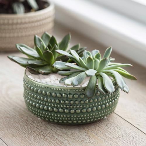 2.2lb White Polished Pebbles for Plants, 3/8 inch Decorative Rocks | Small Stones for Potted Planters, succulents, Vases, Landscaping Drainage and Outdoor Gardening - size: 2.2lb, style: White