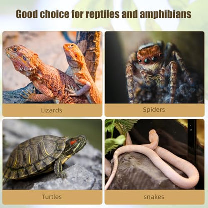 Zerodeko Reptile Cork Bark Decor 10Pc Tree Bark for Reptile Lizard Climbing Turtle Basking Platform Terrarium Decorations 3.93 X 3.54 X 0.19 in for Lizards Spiders Hamster
