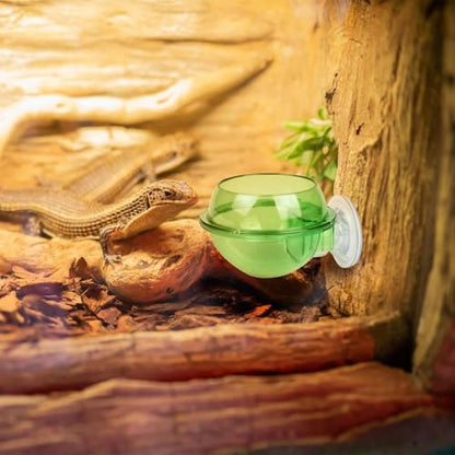 Reptile Feeding Bowl Suction Cup Anti-Escape Food Dish | Anti-Escape Worm Live Fodder Translucent Container for Lizard Gecko Snake Frog Turtle Tortoise Spider Habitat
