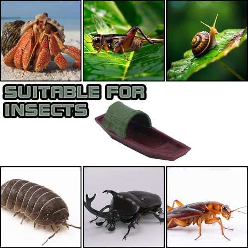 4 Pcs Cricket Feeder Hermit Crab Hideout Climbing Toy Terrarium Decoration for Hermit Crab Snail Cricket Insects