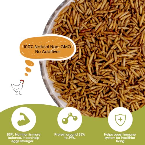 5LB Dried Black Soldier Fly Larvae for Chicken, Poultry, Wild Birds,No Additives, 100% Natural Non-GMO, More Calcium Chicken Treats Than Mealworms - size: 5 Pound (Pack of 1)