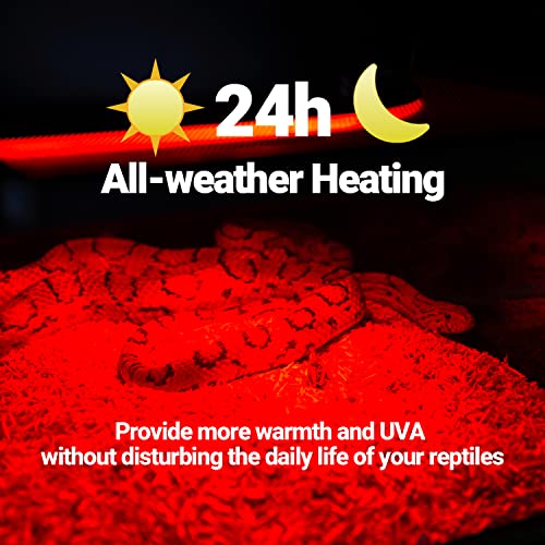 WACOOL 4 Pack Reptile Heat Lamp Bulbs,75W Infrared Basking Spot Light for Reptiles & Amphibians, Red Heat Lamp Bulb for Bearded Dragon Gecko Turtle Lizard (75, Watts)… - style: 75W-4 PACK