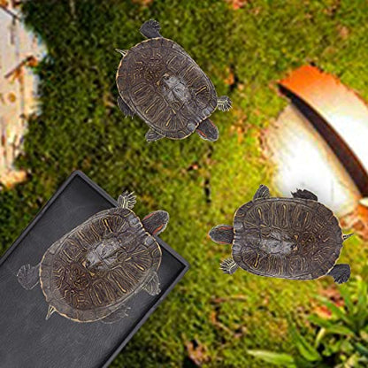 Reptile Food Water Bowl Plate Dish for Tortoise Crawl Pet Drinking and Eating Hallow Water Dish for Reptiles (Size1-S) - size: Size1-S