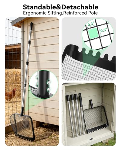 12" Chicken Poop Scooper, Stainless Steel Handle (36–62") | Light weight chicken coop scoop, Litter Scooper & Sand Sifting Shovel for chicken sand, Pet Waste Cleaning