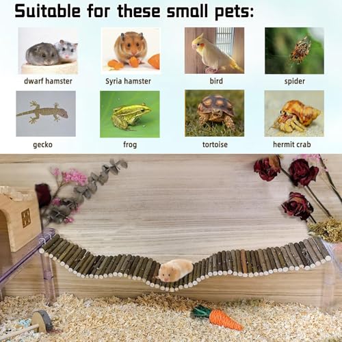 Rat Bendy Long Suspension Bridges 19.7 x 2.7 Inch Hamster Climbing Ladder Flexible Wooden Bridge for Dwarf Hamster Sugar Glider Rodents Mouse - size: 1PCS 19.7x2.7in