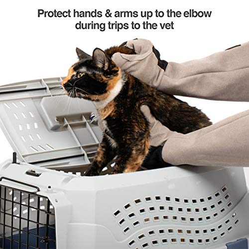 PetFusion Multipurpose Pet Grooming Gloves Great for Trips to Vet and Bathing, Puncture, Scratch & Water Resistant - size: Large