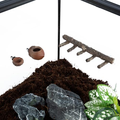 REPTI ZOO Jumping Spider Hideout and Feeding Dish, Nut Shaped Hide and Cave Sets for Spider Playing, Feeding and Climbing, Pet Spider Enclosure Accessories