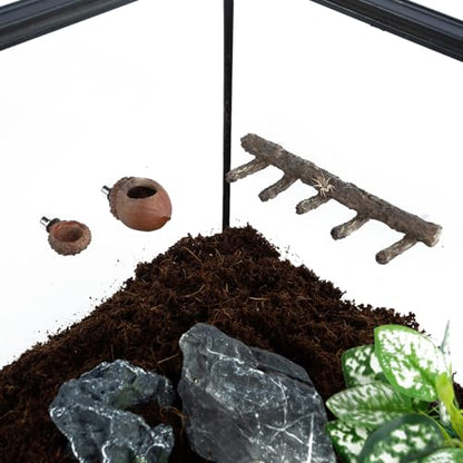 REPTI ZOO Jumping Spider Hideout and Feeding Dish, Nut Shaped Hide and Cave Sets for Spider Playing, Feeding and Climbing, Pet Spider Enclosure Accessories
