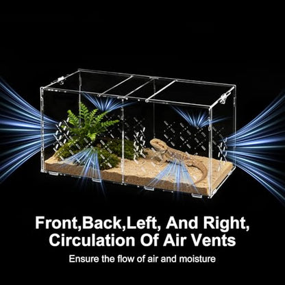 Reptile PC Terrarium, Double Room Tarantula Enclosure,Spider Tank Starter Kit,Leopard Gecko Container,Hermit Crab Habitat,Lizard housing,Jumping Spider Cage,Small Bearded Dragon Vivarium