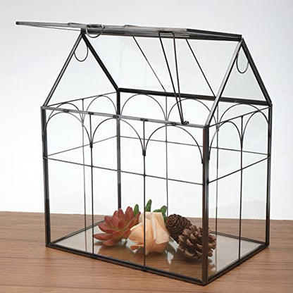Geometric Plant Terrarium with Lid, House Succulent Terrarium Kit for Display, Air Plants, Succulents, Home Tabletop Miniature Terrarium, Not Airtight or Waterproof (Black) - color: Black