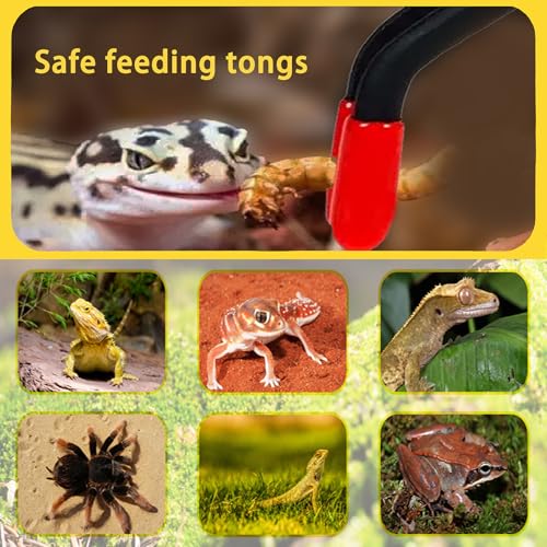 2 Pcs Reptile Feeding Tongs – Stainless Steel Aquarium Tweezers with Rubber Tips, Straight & Curved Long Handle for Bearded Dragons, Lizards, Snakes, Spiders & Terrarium Feeding