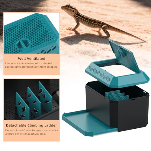 XIGETRAIL Feeder Insect Habitat for Crickets, Dubia Roaches, Breadworms | For Reptile Live Food Storage & Breeding,Ventilated Cricket Keeper(9.25" L x 6.29" W x 5.7" H)