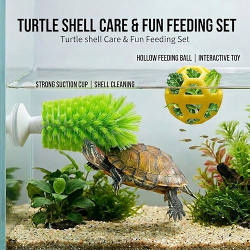 Turtle Cleaning & Feeding Kit: 2 Pcs Shell Scrubber Brush with Suction Cup and Interactive Feeder Ball for Aquatic Turtles and Tortoises