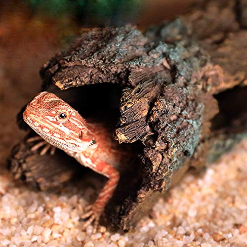La La Pet® Reptile Log Hideaway Reptile Hideouts Resin Wood Gecko Hides and Caves Bark Bends Lizard Habitat Decor Aquarium Fish Tank Accessories for Spiders Snake Frog Turtle Amphibians