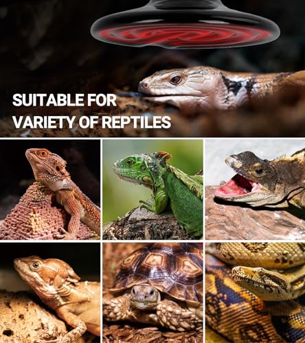 REPTI ZOO 150W Reptile Heat Lamp 2Pack Ceramic Heat Emitter Night Heat Lamp Bulbs Reptile Terrarium Heat lamp Tank Heat Bulb for Turtle Bearded Dragon Gecko Lizard Snake Chicken E26 - style: 150W/2PCS