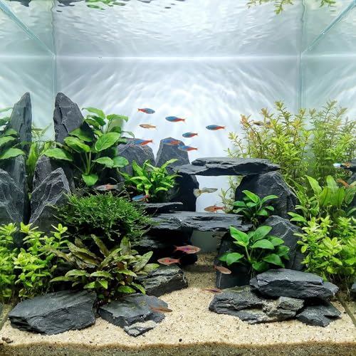 Slate Rock for Aquarium, 5-7 Inch Polished Natural Stone Rocks,10 lbs | Fish Tank Decor, Aquascaping Rocks, Safe for Aquariums, Terrariums - color: 10 lbs, size: 5-7 Inch
