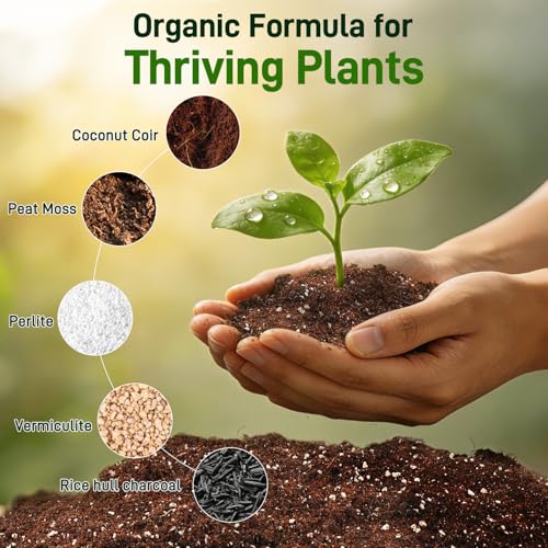 9QT Potting Soil Mix for Indoor Plants - Contains Perlite, Peat Moss, Coco Coir & Rice Charcoal, Natural & Organic Material with Well-Draining, Light & Aerated Texture for Healthy Roots & Fast Growth - color: Potting Soil, size: 9QT