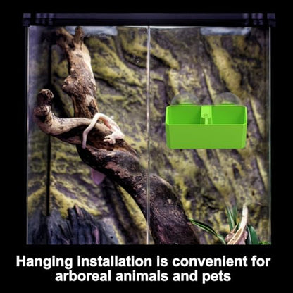 DONGKER Reptile Feeding Ledge,Square Dual-Compartment Reptile Water Food Bowl with 2 Suction Cup for Bearded Dragon Lizard Turtle Tortoise - size: L 5.5"x3.3"x1.4"