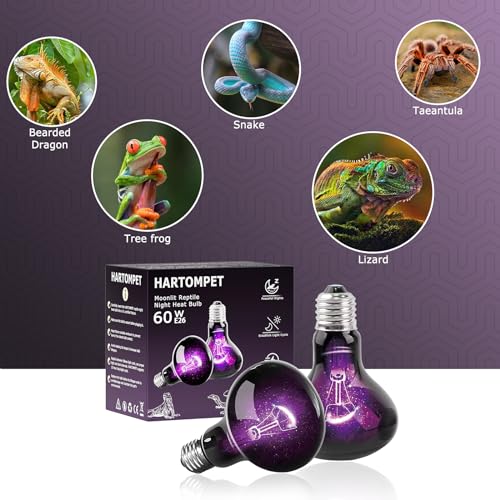 60W Reptile Night Light Bulb, UVA Heat Lamp, Purple Basking Lamp | Simulates Natural Moonlight, Creates a Natural Nighttime Environment, Ideal for Amphibians & Nocturnal Viewing in Terrariums - color: Purple-moonlight Heat Lamp, size: 60 Watts