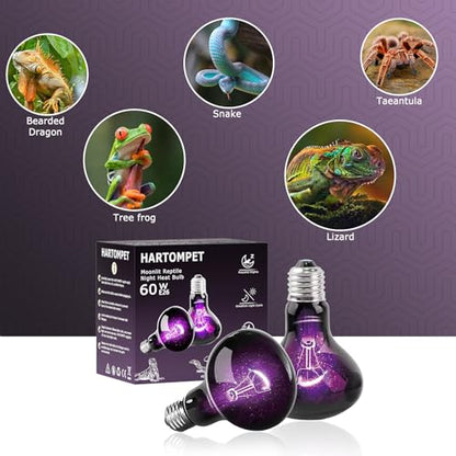 60W Reptile Night Light Bulb, UVA Heat Lamp, Purple Basking Lamp | Simulates Natural Moonlight, Creates a Natural Nighttime Environment, Ideal for Amphibians & Nocturnal Viewing in Terrariums - color: Purple-moonlight Heat Lamp, size: 60 Watts