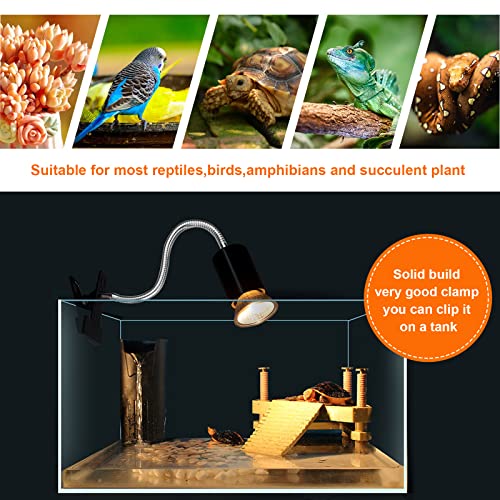 Reptile Heat Lamp, UVA UVB Reptile Light with 360° Rotatable Hose and Timed, Heating Lamp with 2 Bulbs Suitable for Bearded Dragon Reptiles Turtle Lizard Snake (Heat Lamp 25w/50w Bulb) - style: Single-Head-Lamp