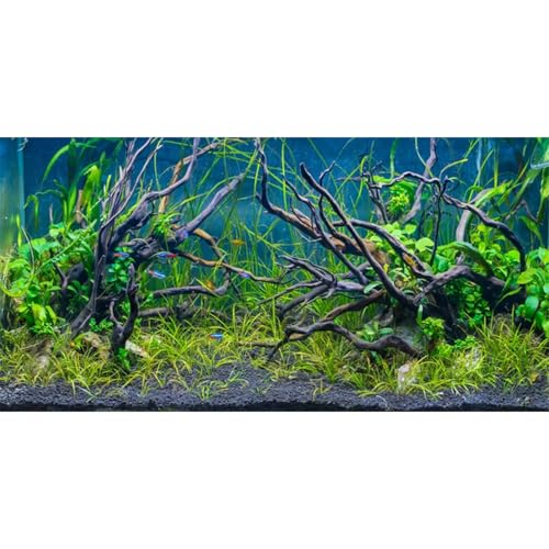 AWERT 60x24 inches Tropical Fish Tank Background River Bed & Lake Aquatic Plant Undersea Tree Branch Aquarium Background Vinyl - size: 60x24in/150x60cm