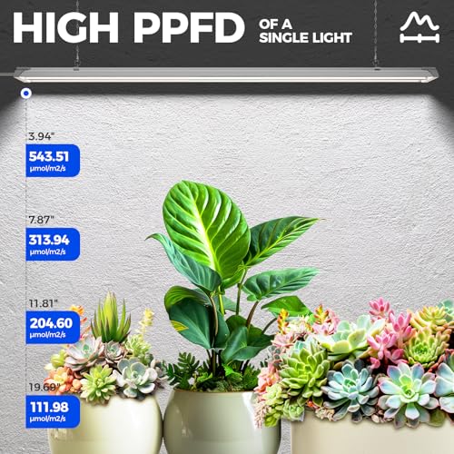 Barrina TX72 4FT LED Grow Light, 72W(500W Equivalent), 5000K Full Spectrum | High PPFD, Linkable to 4, Hanging Light, Grow Light for Seed, Vegetable, Greenhouse with On/Off Switch, Linkable to 4, 1 Pack - color: 5000K, size: 4FT-72W-1P