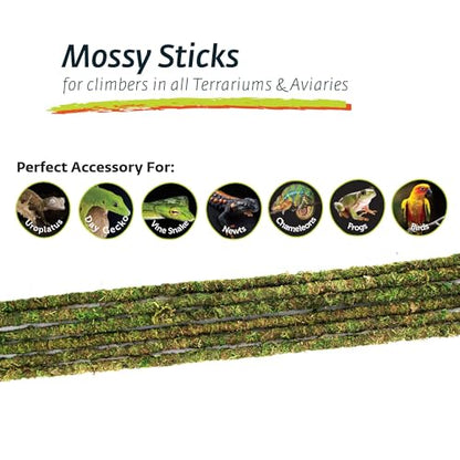 Galápagos (05322) Mossy Terrarium Sticks (6 Pack), 32" - size: 32"