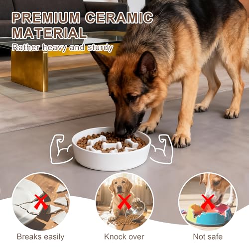 Ceramic Slow Feeder Dog Bowls, Ceramic Slow Feeder Maze Dog Food Bowl, Slow Eating Dog Bowl and Slow Feeder Dog Bowl Anti-Choking for Daily Pet Feeding （White Bone） - color: White Bone