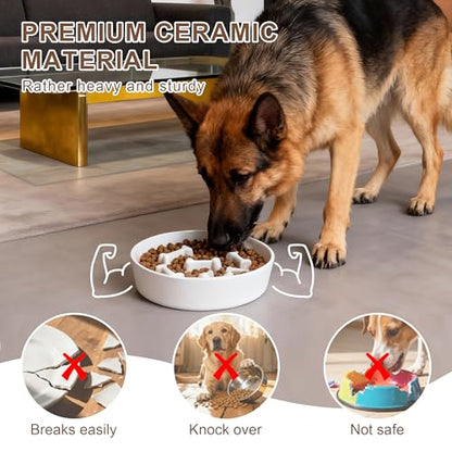 Ceramic Slow Feeder Dog Bowls, Ceramic Slow Feeder Maze Dog Food Bowl, Slow Eating Dog Bowl and Slow Feeder Dog Bowl Anti-Choking for Daily Pet Feeding （White Bone） - color: White Bone
