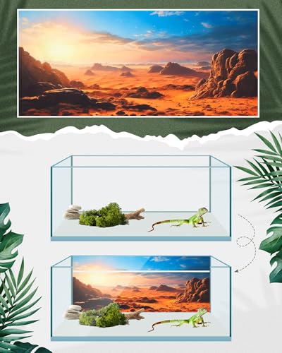 4 Pcs 48 x 18 Inch Reptile Habitat Background with Nano Glue Gobi Sun Cactus Stone and Green Tree Fern Stream Terrarium Background Polyester Durable Aquarium Accessories - color: Style1, size: 18 x 48 Inch