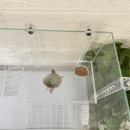 RUIAN Transparent Turtle Basking Platform Hanging Turtle Ramp, Resting Terrace for Turtles Tank Aquarium (30 * 18cm)