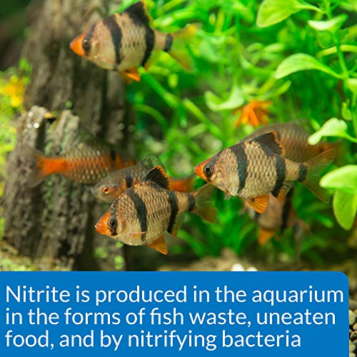API NITRITE TEST KIT 180-Test Freshwater and Saltwater Aquarium Test Kit - size: 180 tests