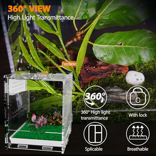 Acrylic Jumping Spider Enclosure, Insect Terrarium, Praying Mantis Habitat, Bug Enclosure, Arboreal Tarantula Enclosure Kit, Reptile Cage, Scorpion Lizard Tank