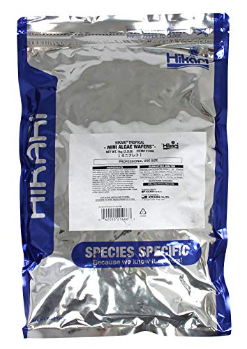 Hikari Tropical Mini Algae Wafers Fish Food, 2.2 lb (1kg) - size: 2.2 Pound (Pack of 1)