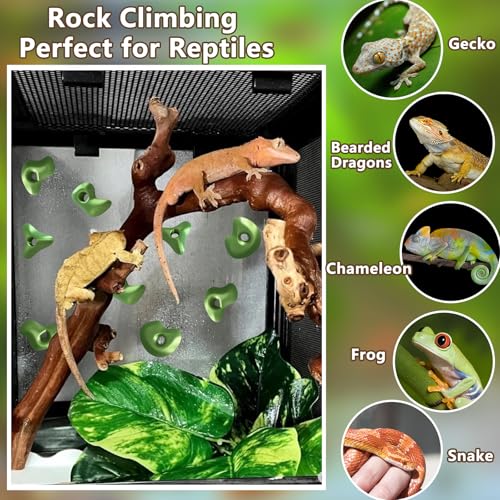 Mushroom Terrarium Decor & Climbing Hold Kit,with 12 Rock Holds, Suction Cups & Adhesive Dots for Geckos, Frogs, Small Lizards & Snakes in Dry/Semi-Moist Habitats (Desert Beige) - color: Desert Beige
