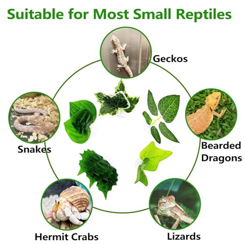 BNOSDM Fake Terrarium Plants for Reptiles, 3-5in, Green, 5PCS | Fake Terrarium Plant with Suction Cup, Jumping Spider Habitat Enclosure Bearded Dragon,Snake, Lizard Accessories - color: Green