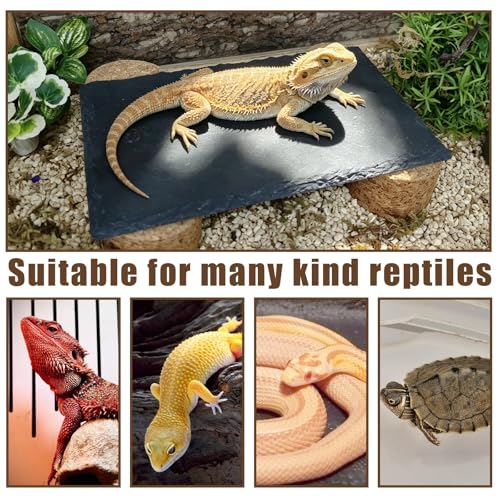 Bearded Dragon Basking Rock Platform,Reptile Basking Slate Rock with Wooden Stump,Leopard Gecko Hides and Caves Tank Accessories for Lizards,Snakes,Ball Pythons,Turtle