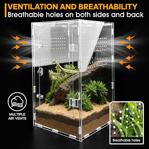 Jumping Spider Enclosure, Insect Terrarium, Bug Cage, Acrylic Terrarium for Tarantula, Snail, Praying Mantis, Frog, and Small Reptiles (7.8" x 7.8" x 13.7") - size: 7.8" x 7.8" x 13.7"