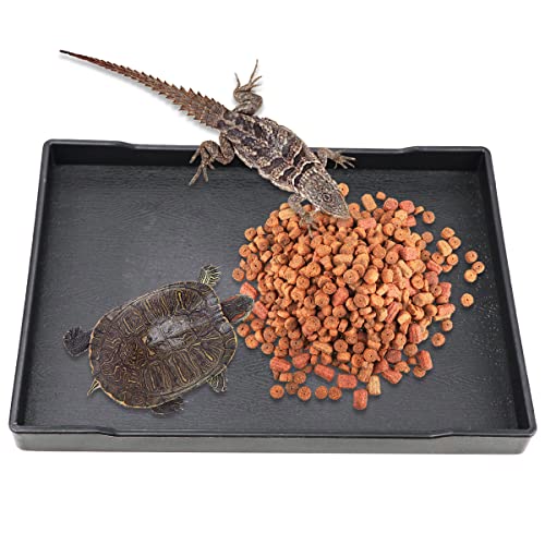 Reptile Food Water Bowl Plate Dish for Tortoise Crawl Pet Drinking and Eating Hallow Water Dish for Reptiles (Size2-M) - size: Size2-M