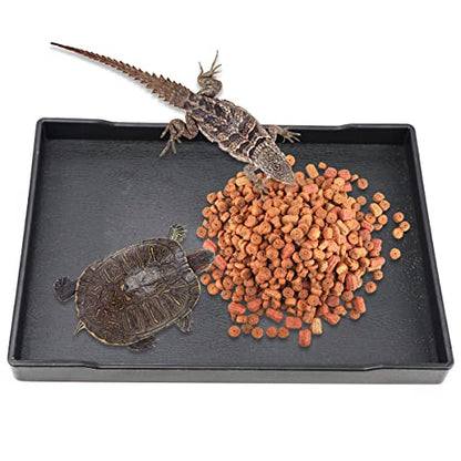 Reptile Food Water Bowl Plate Dish for Tortoise Crawl Pet Drinking and Eating Hallow Water Dish for Reptiles (Size2-M) - size: Size2-M