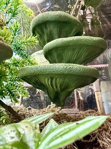 Mushroom Ledge for Terrarium – Climbing & Resting Shelf with Suction Cups (Dark Green, 6''x4.5''x5.25'') - color: Dark Green
