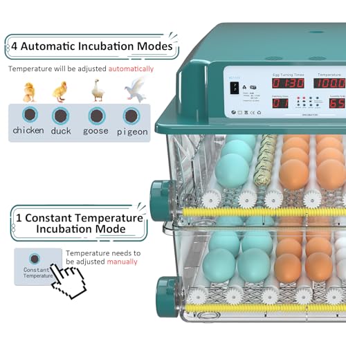 Egg Incubator for Hatching 120 Eggs with 5 Auto Incubation Models | Precise Temp & Humidity Control, Auto Egg Turning, External Water Refill, Egg Candler, Dual Power Supply, Adjustable Roller