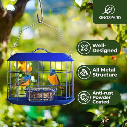 Kingsyard Bluebird Feeders for Outdoors Hanging | Metal Cage Bird Feeder with Tray, Squirrel Proof, for Small wildbirds, Weatherproof, Easy to Refill and Clean, Blue - color: Blue