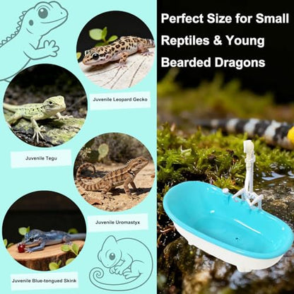 Small Bearded Dragon Pool with Water Fountain, Reptile Bath Tub | Gentle circulating water flow with rainfall faucet, compact reptile bath tub for bearded dragons, geckos, and small reptiles