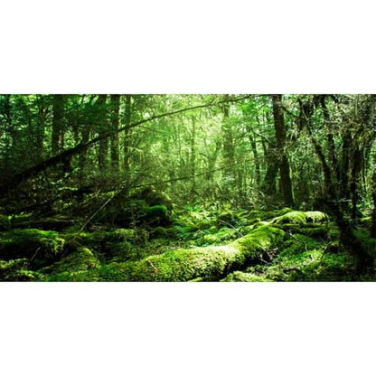 AWERT 36x20 inches Tropical Terrarium Background Rainforest Aquarium Background Green Tree Reptile Habitat Background Durable Polyester Background - size: 36x20in/90x50cm