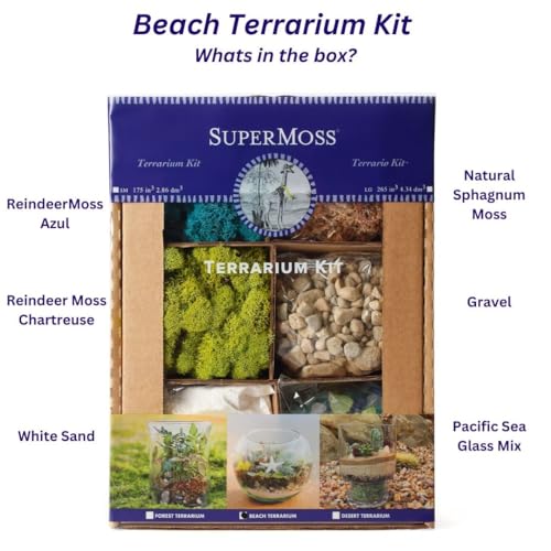 SuperMoss (90420) Beach Terrarium DIY Kit – Create Stunning Nature-Inspired Mini Gardens – Perfect for Home Decor, Office Gifts, and Plant Lovers, Appx 8 Oz