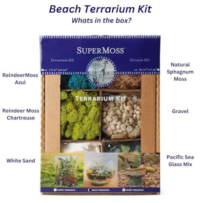 SuperMoss (90420) Beach Terrarium DIY Kit – Create Stunning Nature-Inspired Mini Gardens – Perfect for Home Decor, Office Gifts, and Plant Lovers, Appx 8 Oz